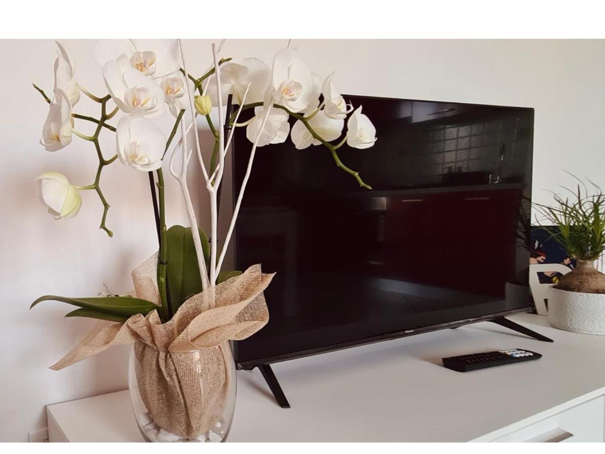 Olga & Gio - Vicino Al Centro Di Cesena Apartment Екстериор снимка